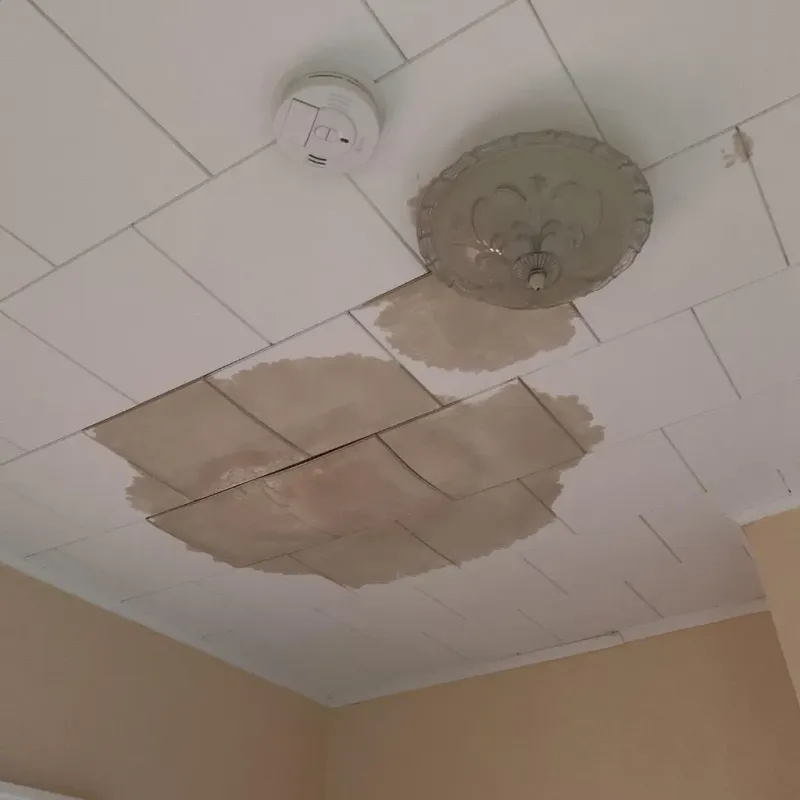 Ceiling Water Damage Repair in Camden, AR