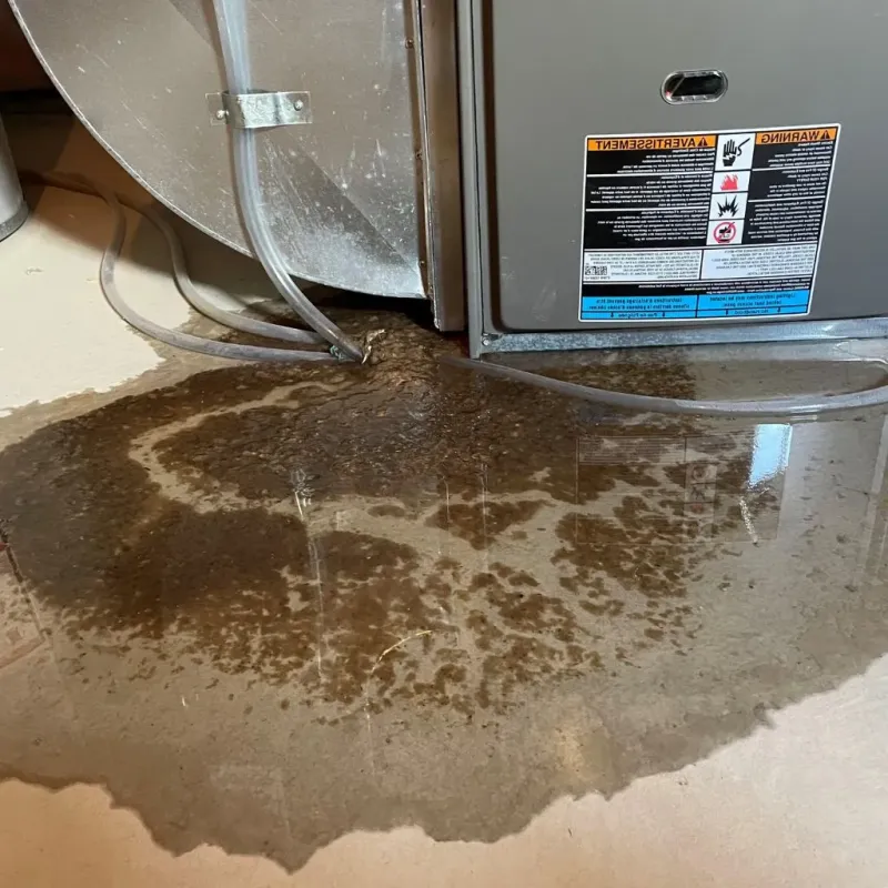 Pipe Burst and Leak Restoration in Camden, AR