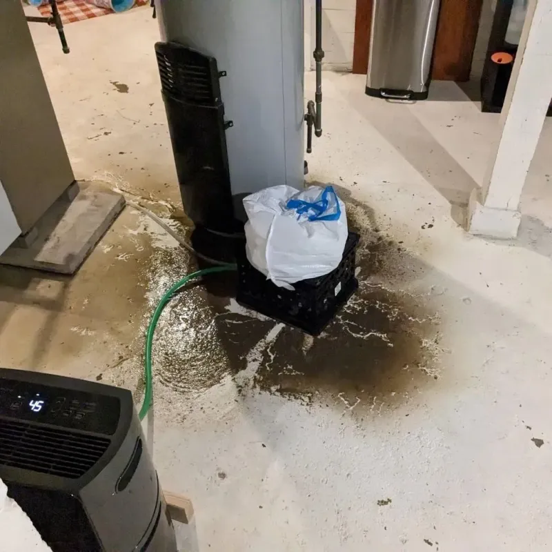 Sewage Backup Cleanup Service in Camden, AR